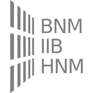 IIB Logo